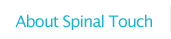 About The Spinal Touch